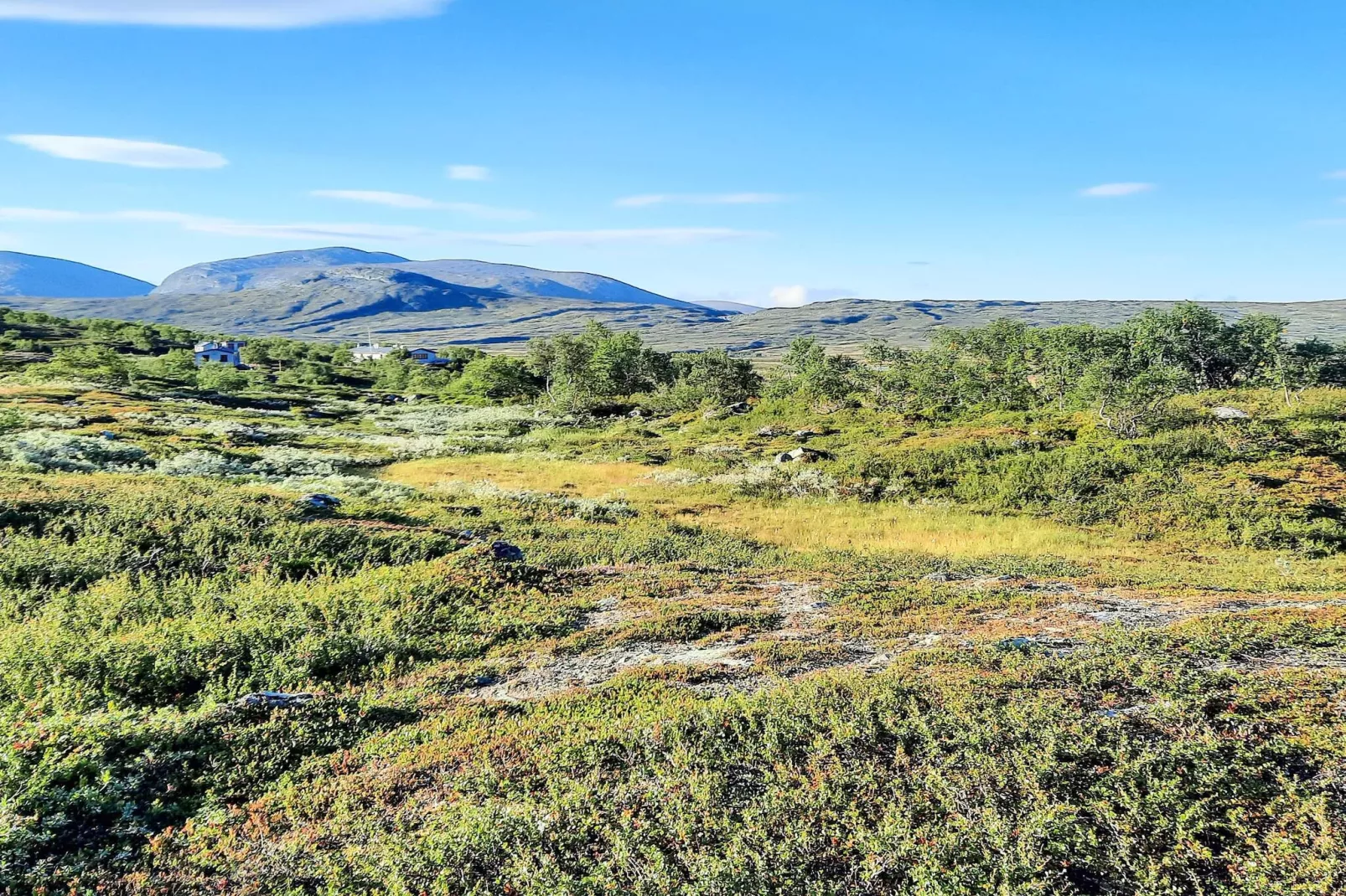 5 sterren vakantie huis in Sälen