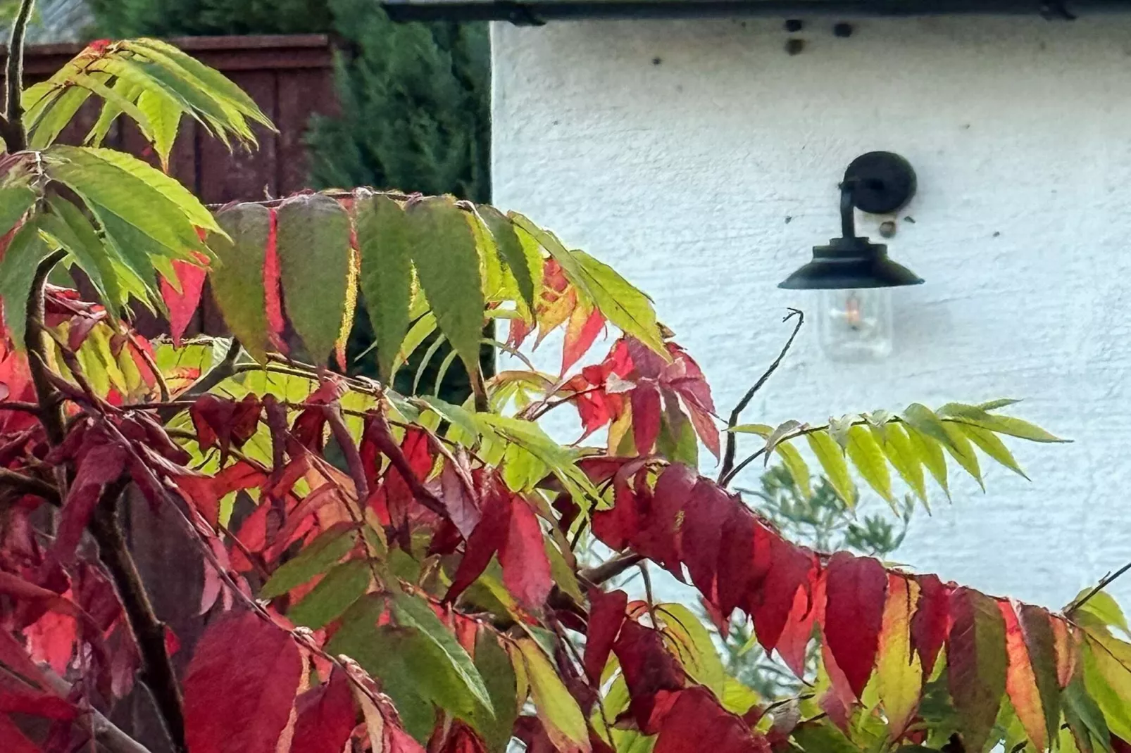 4 sterren vakantie huis in BORRBY - Buitenlucht