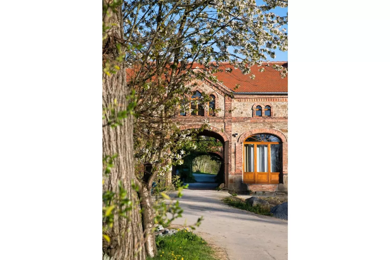 522 1P 40€(6) Schulz