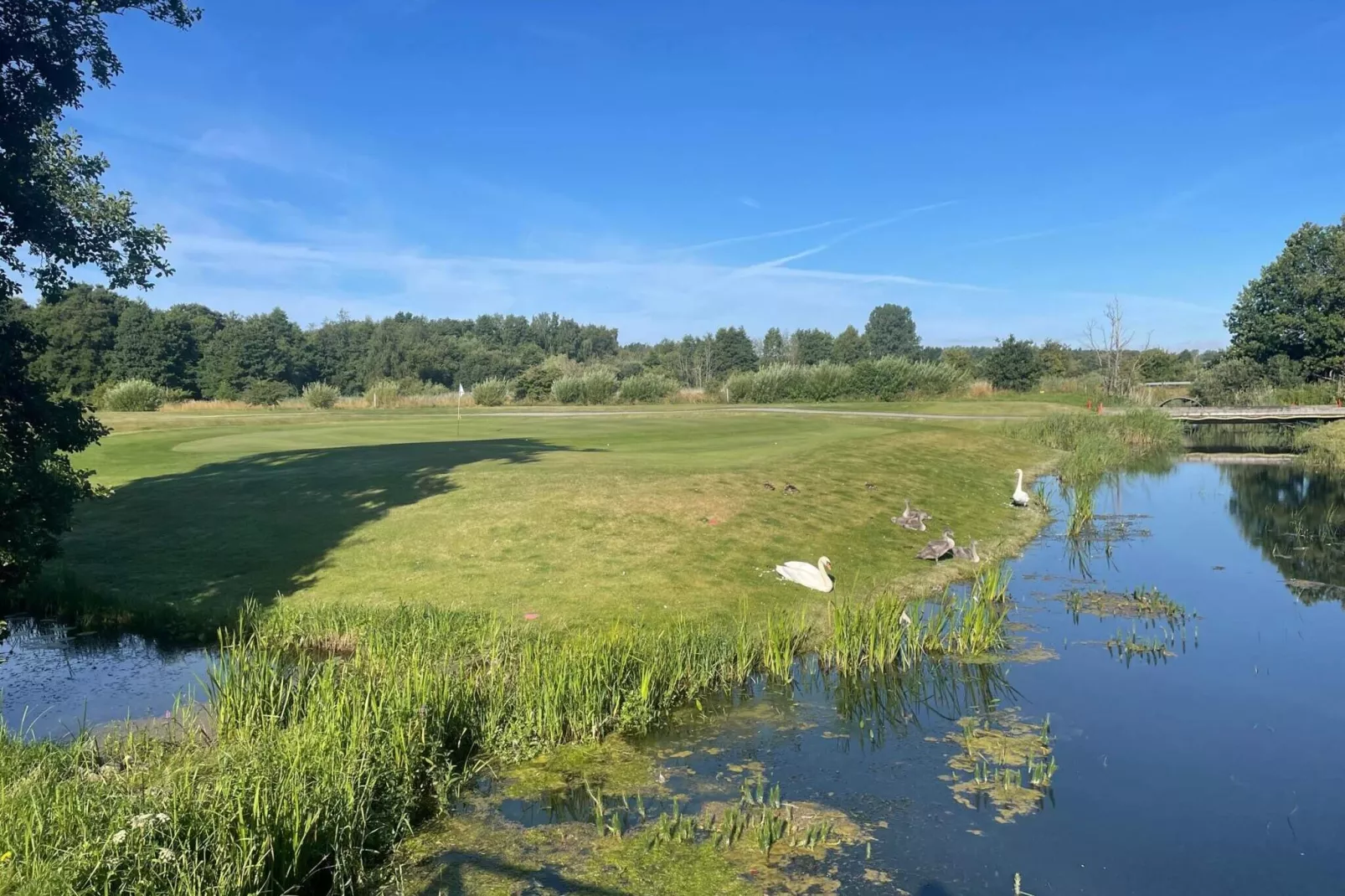 4 sterren vakantie huis in TOMELILLA-Binnen