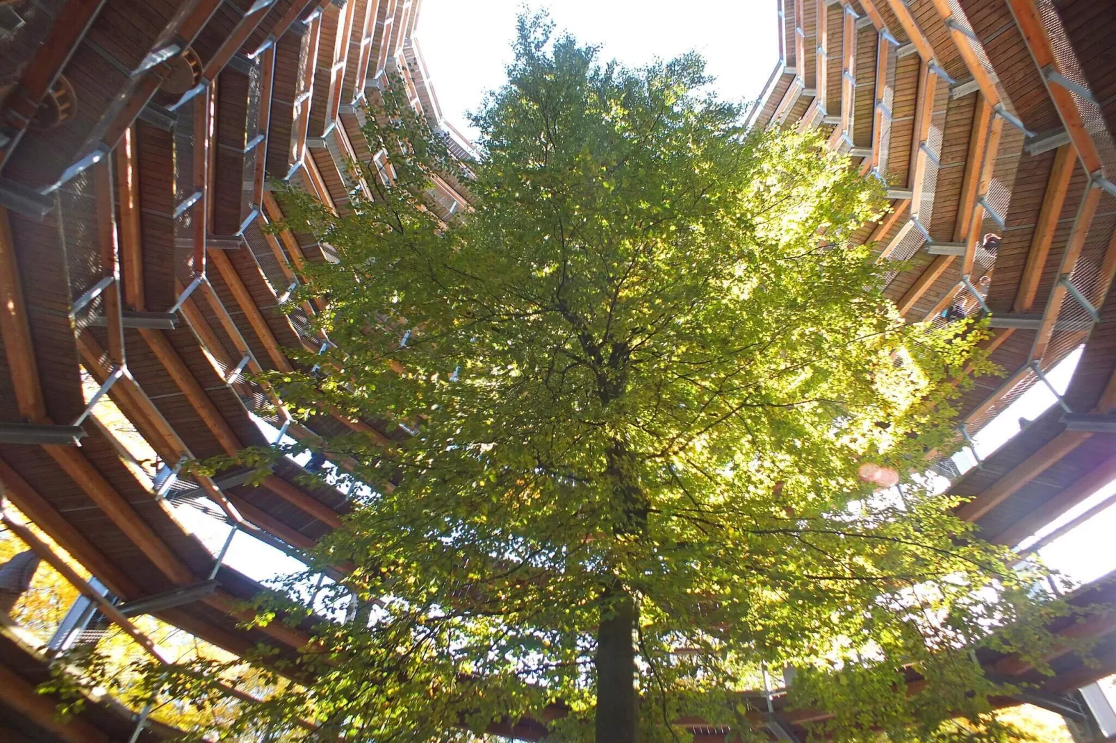 Moderne kelder met vloerverwarming - Buitenlucht