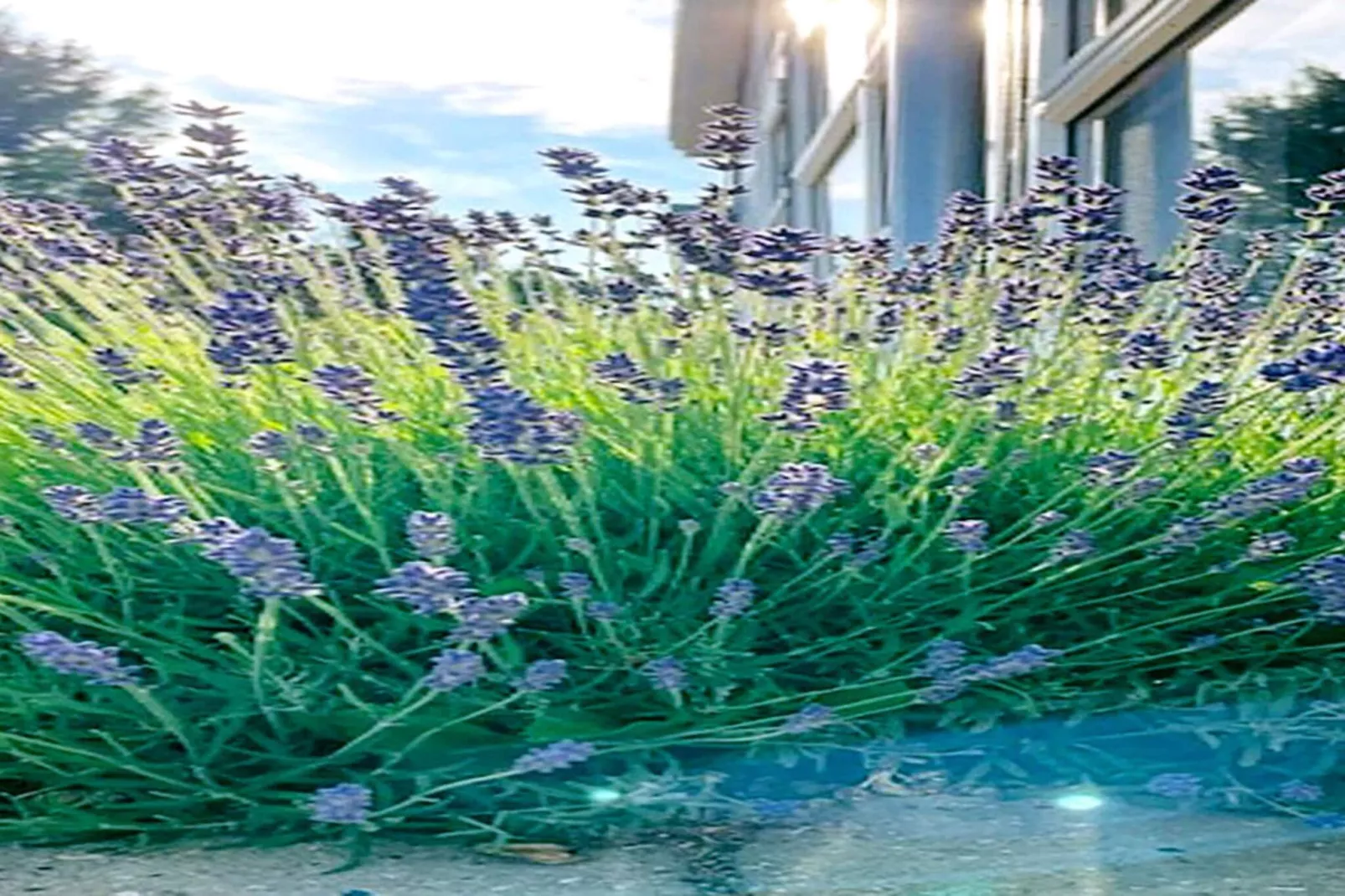 6 persoons vakantie huis in Nysted-By Traum - Buitenlucht