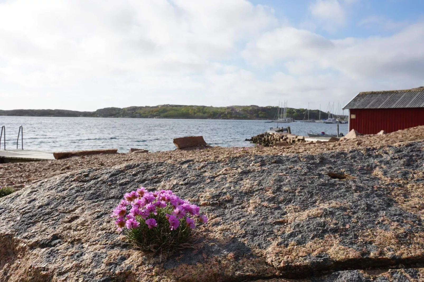 4 sterren vakantie huis in Bovallstrand-Waterzicht