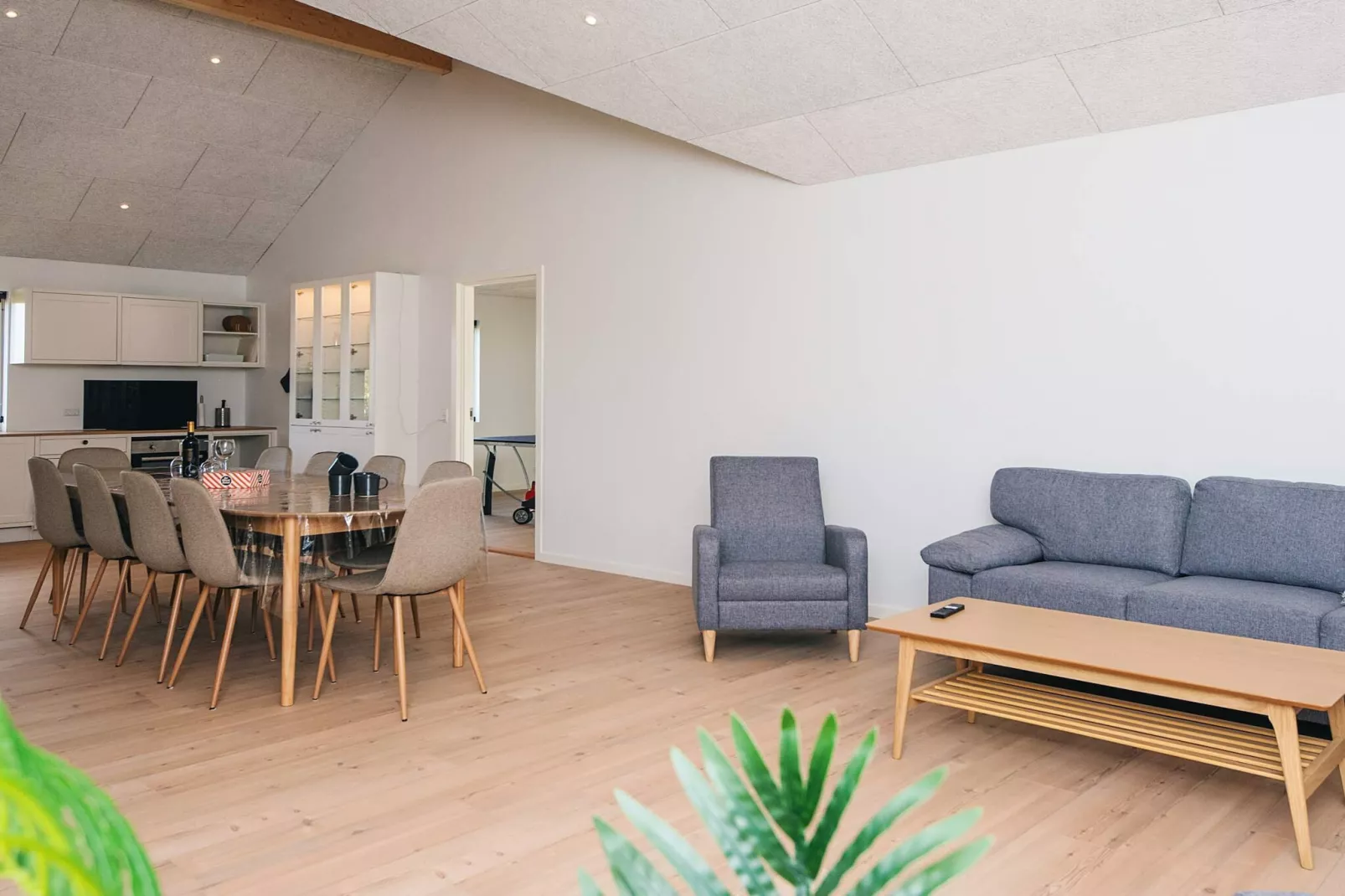 5 sterren vakantie huis in Ansager - Binnen