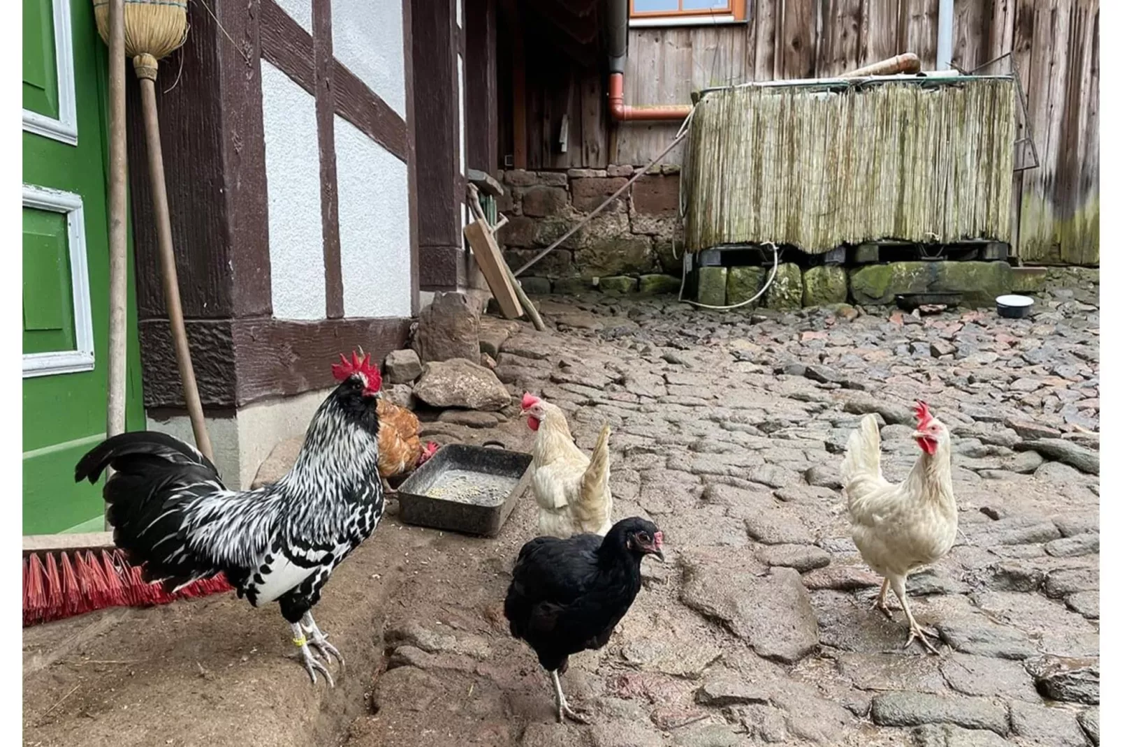 Ferienwohnung Bärbel - Tuinen zomer