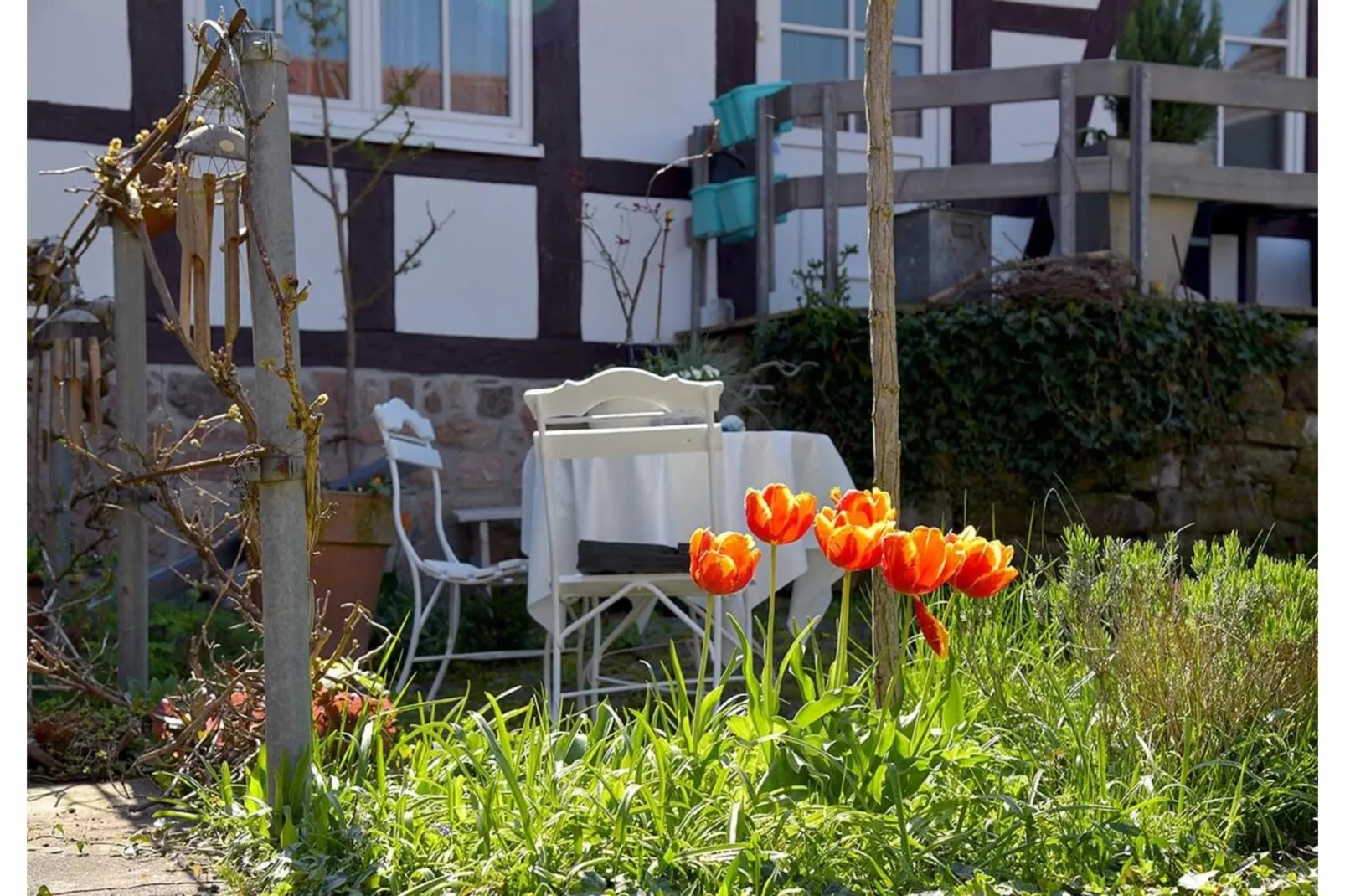 Ferienwohnung Bärbel - Tuinen zomer
