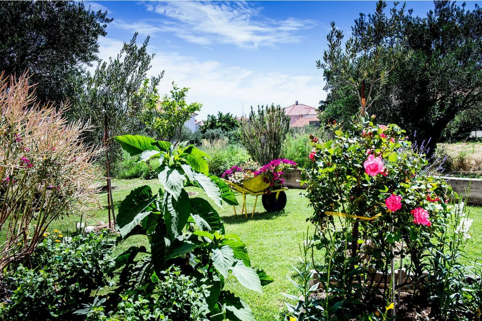 Two Bedroom Apartment (Owner Purple) - Tuinen zomer