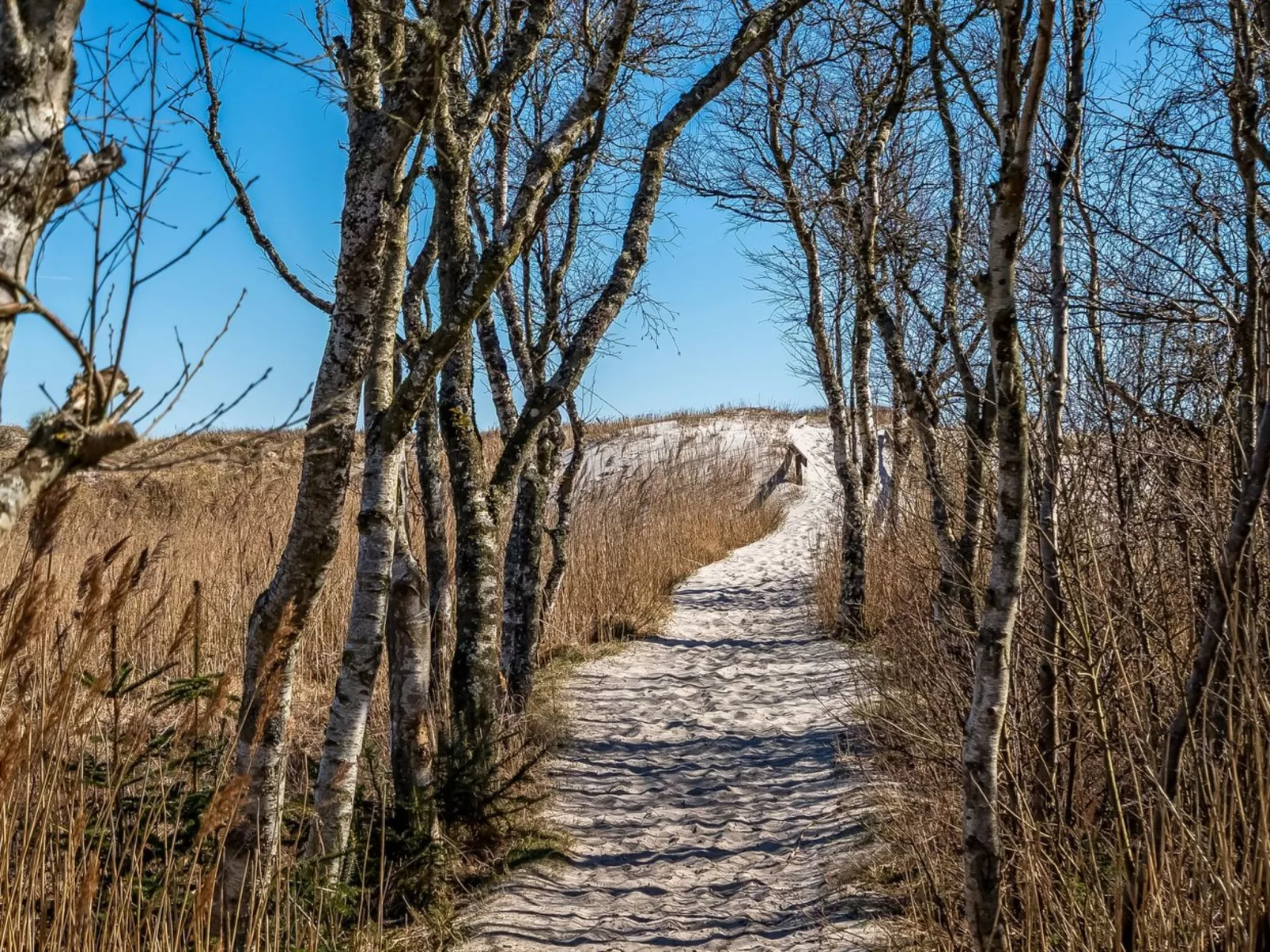 "Elnur" -  from the sea - Buiten