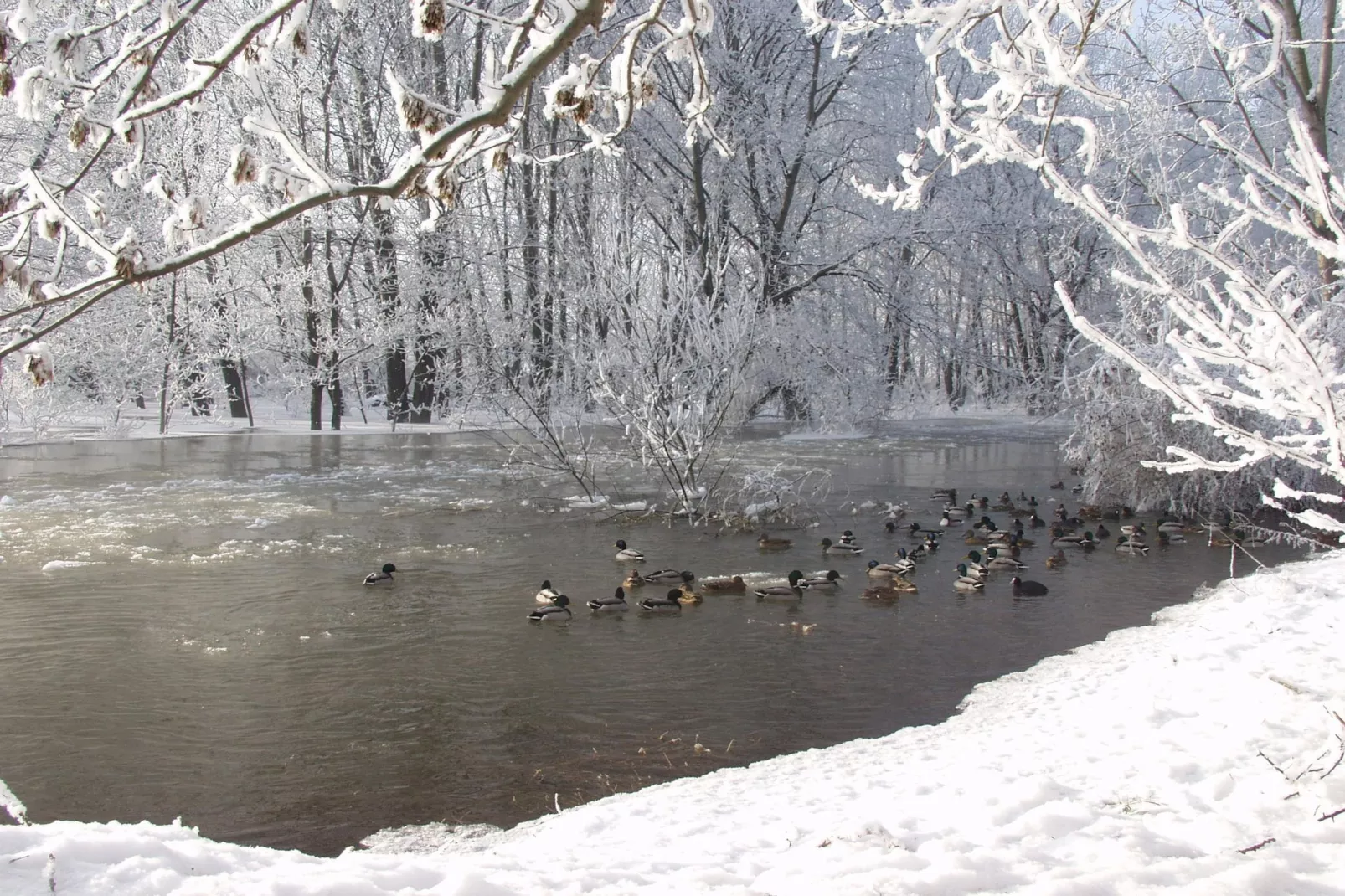 Ferienwohnung OG Staßfurt Schnittke - Gebied winter 5km