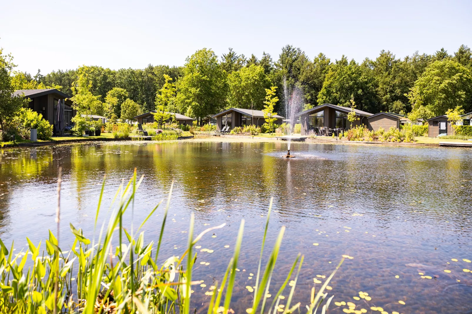 Vakantiepark Molenvelden 10 - Parkfaciliteiten