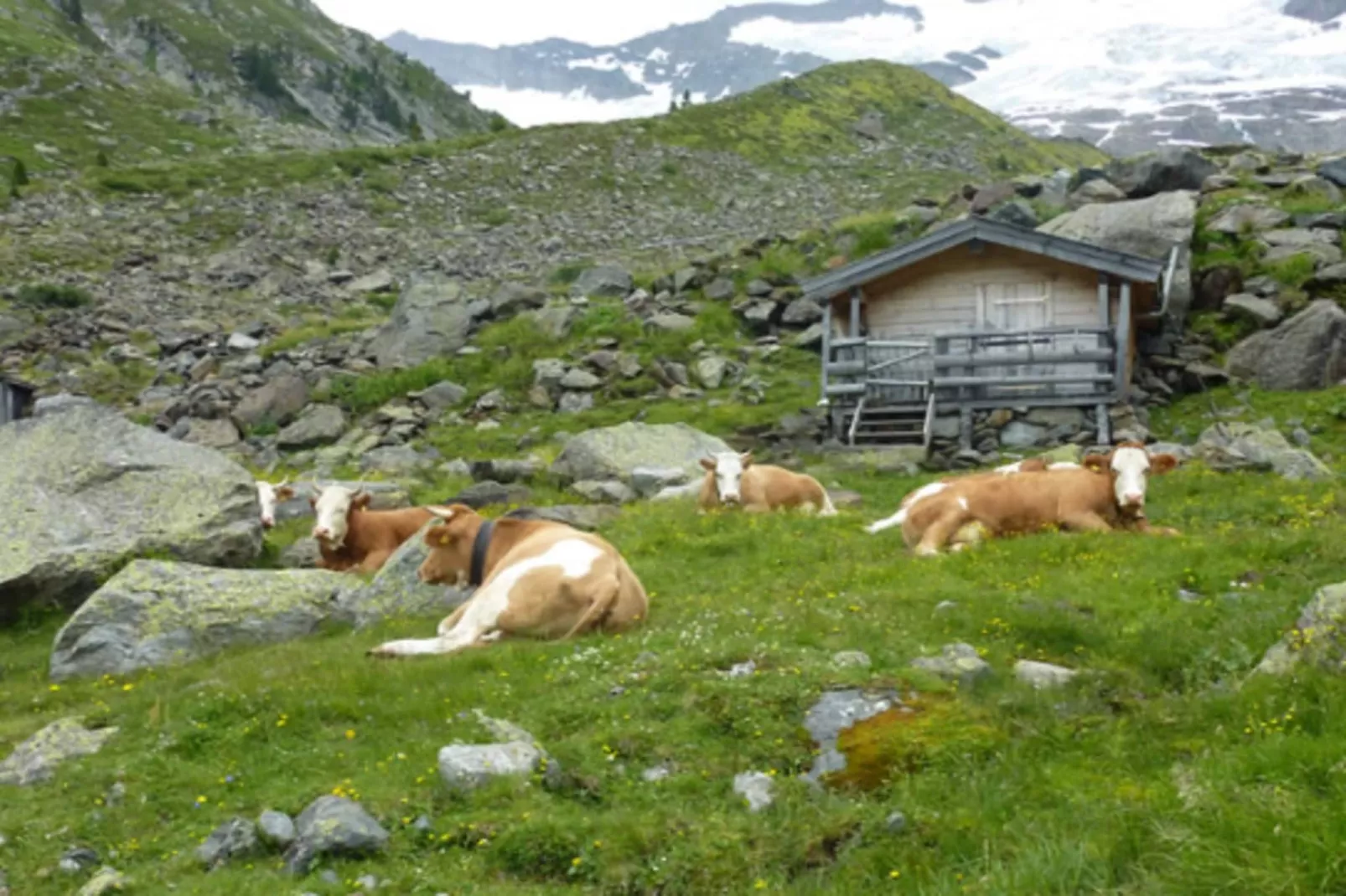 Gernkogelblick - Gebieden zomer 20km