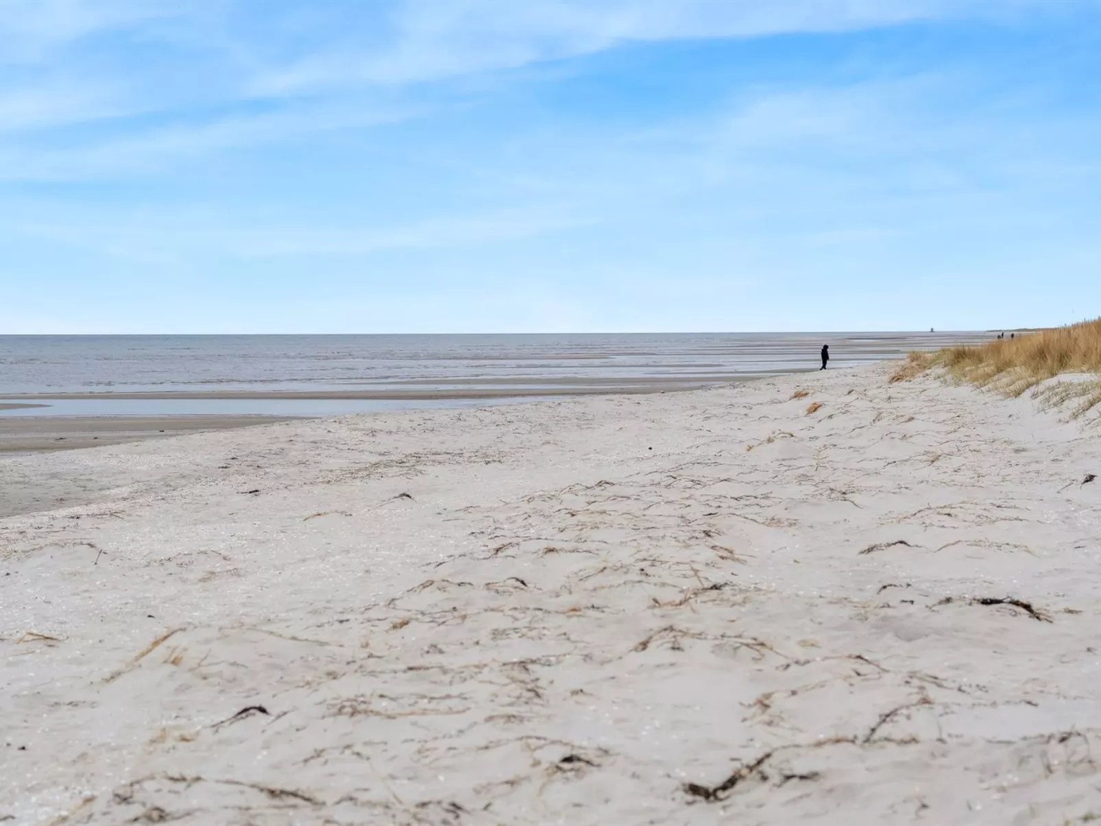 "Elnur" -  from the sea - Buiten