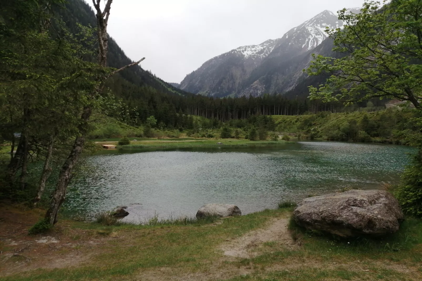 Gernkogelblick - Gebieden zomer 5km