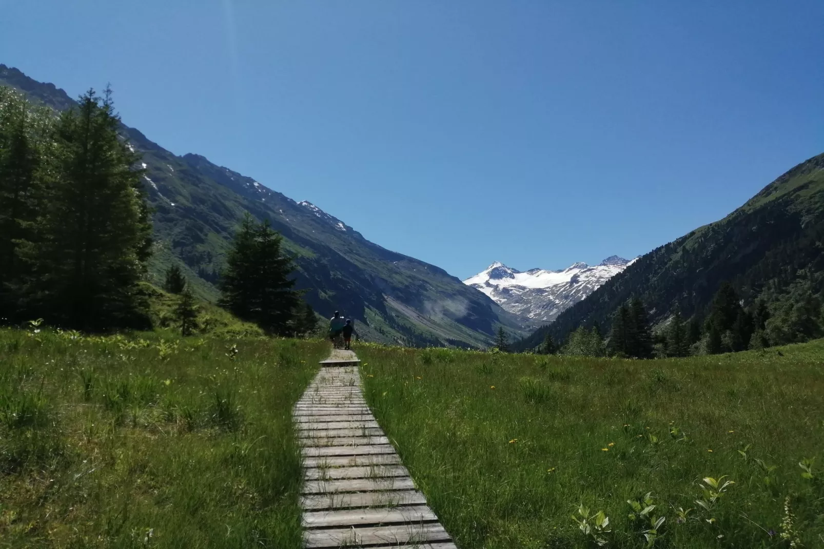Mitterkopfblick - Gebieden zomer 20km