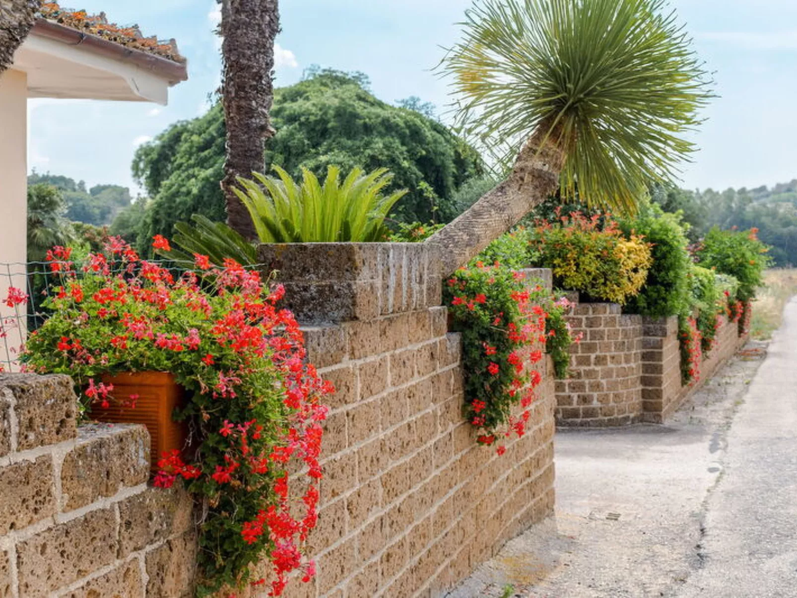 Cyca Holiday Home - Buiten