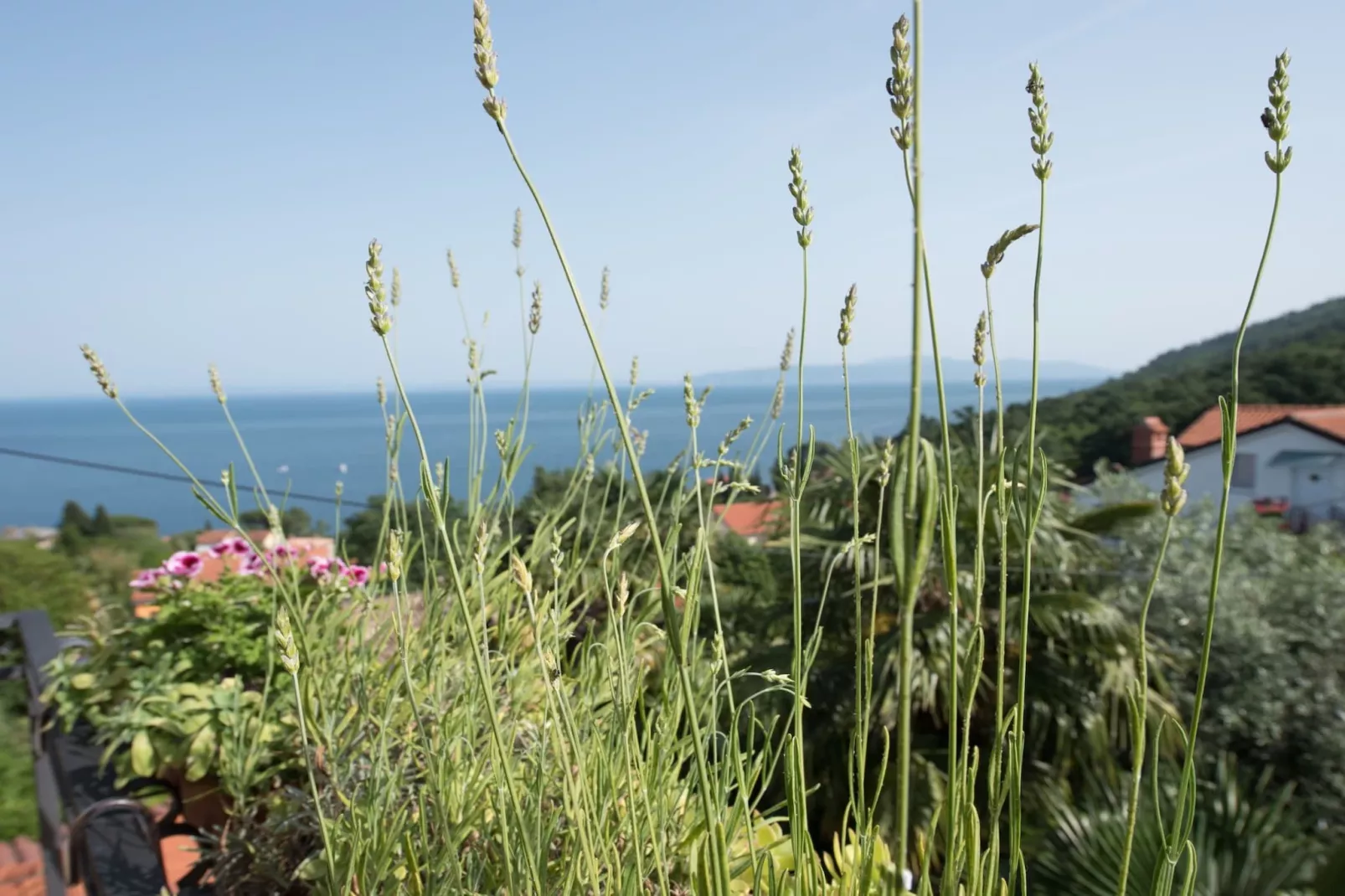 Stylish Lovran Sea View Apartments - Studio Apartment with Balcony and Sea View - Buitenlucht
