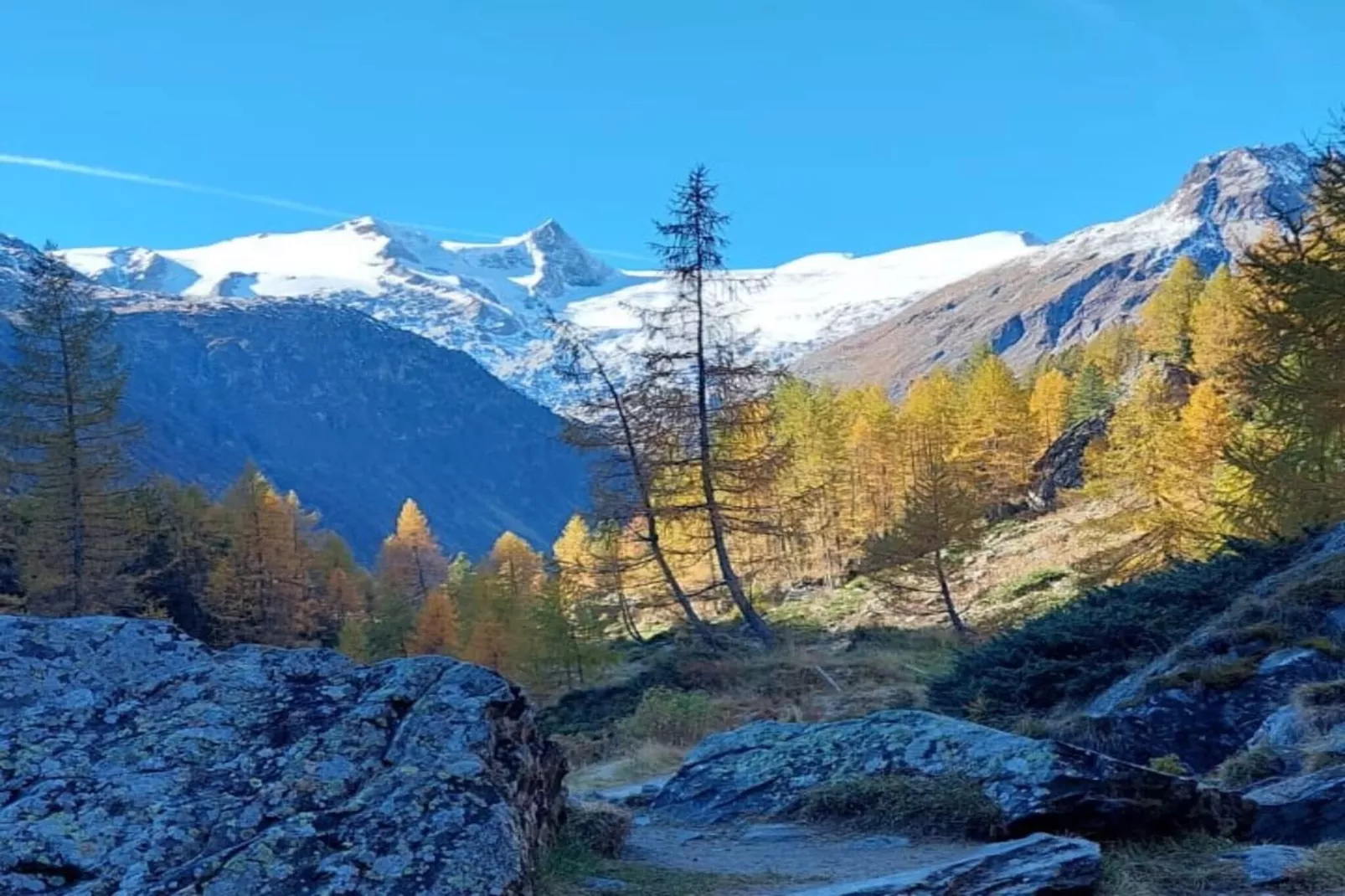Gernkogelblick - Gebied winter 1km