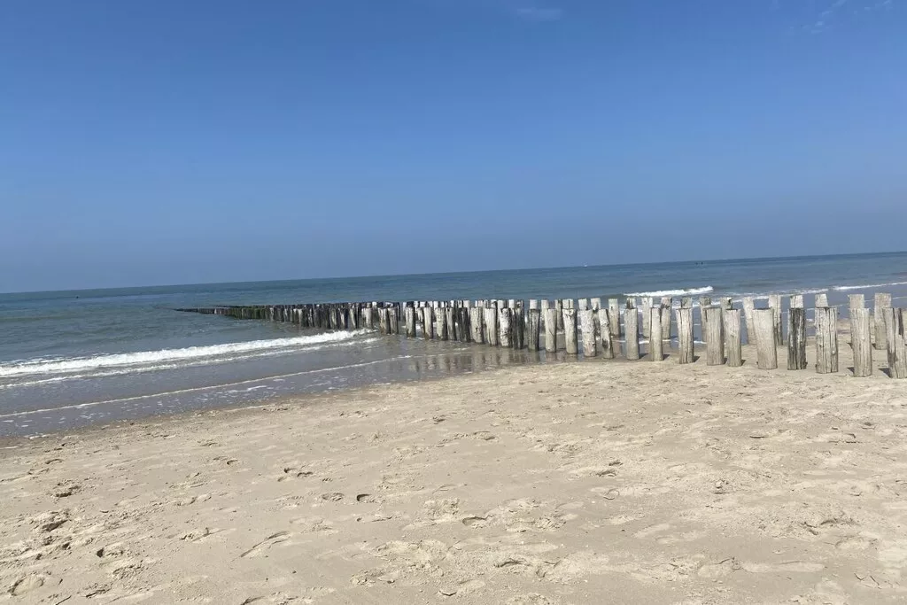 494294 - Niet-getagd