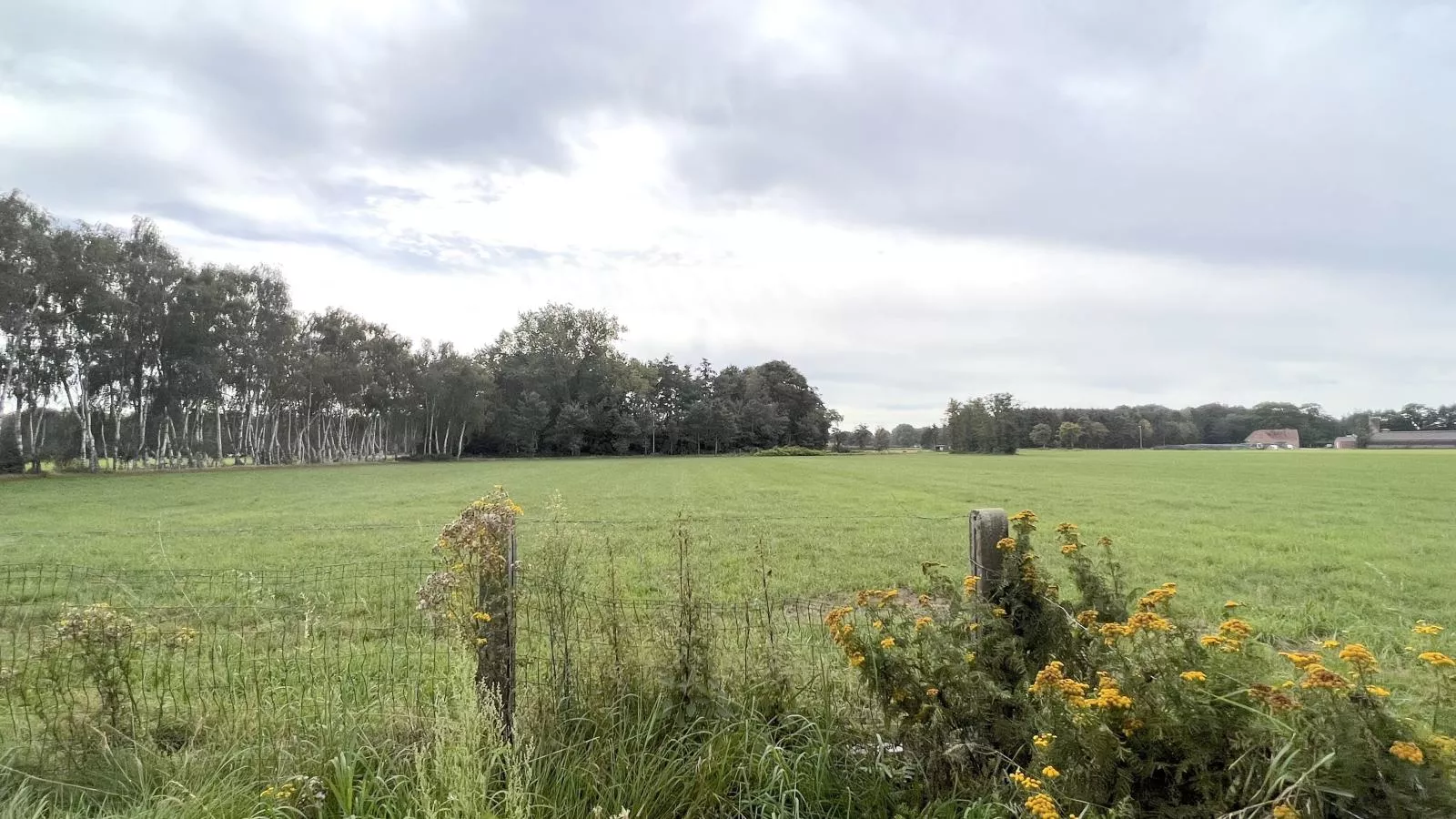 Lindehoeve-Uitzicht zomer