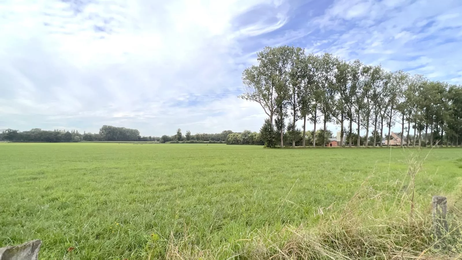 Lindehoeve-Uitzicht zomer