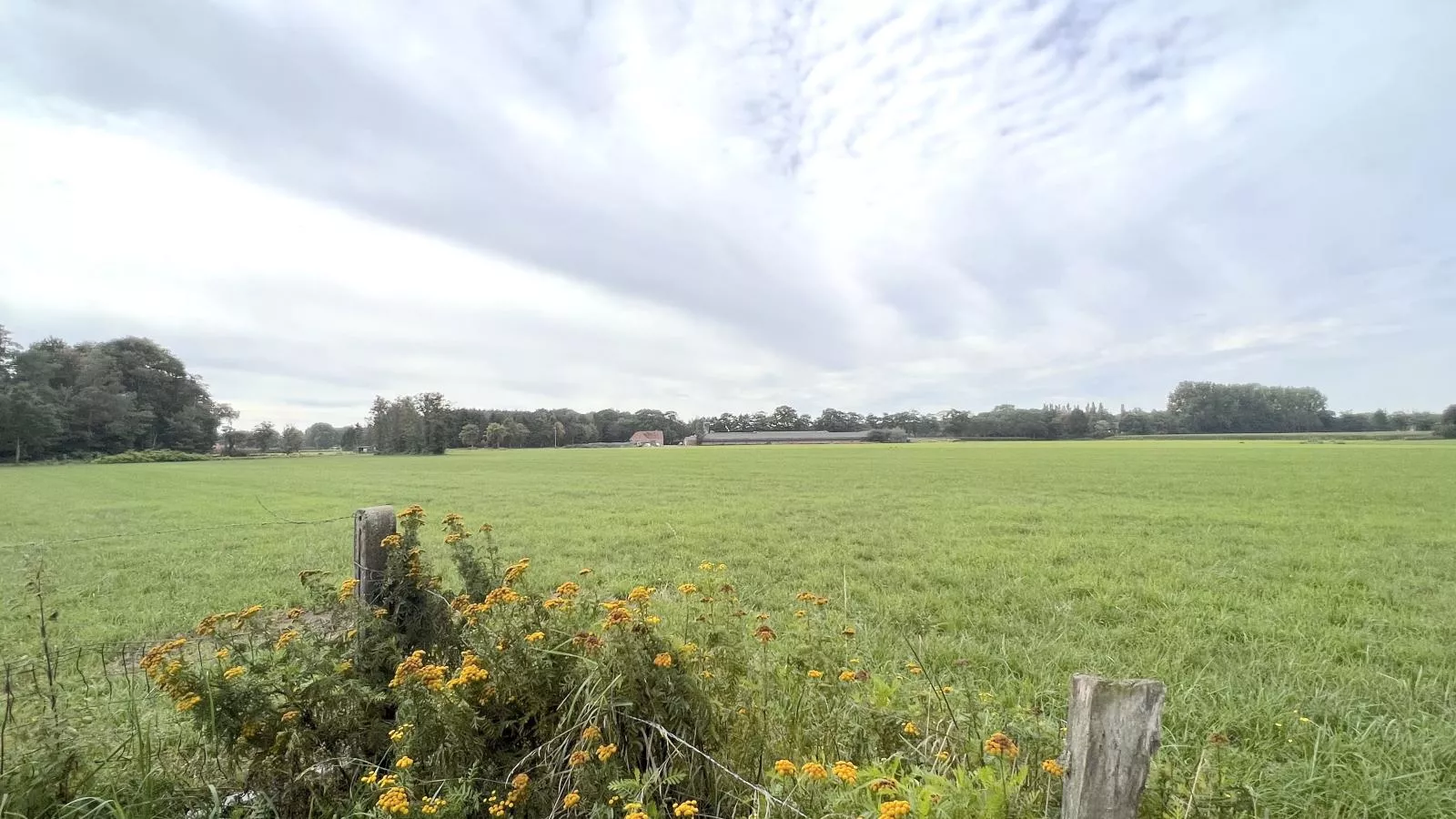 Lindehoeve-Uitzicht zomer