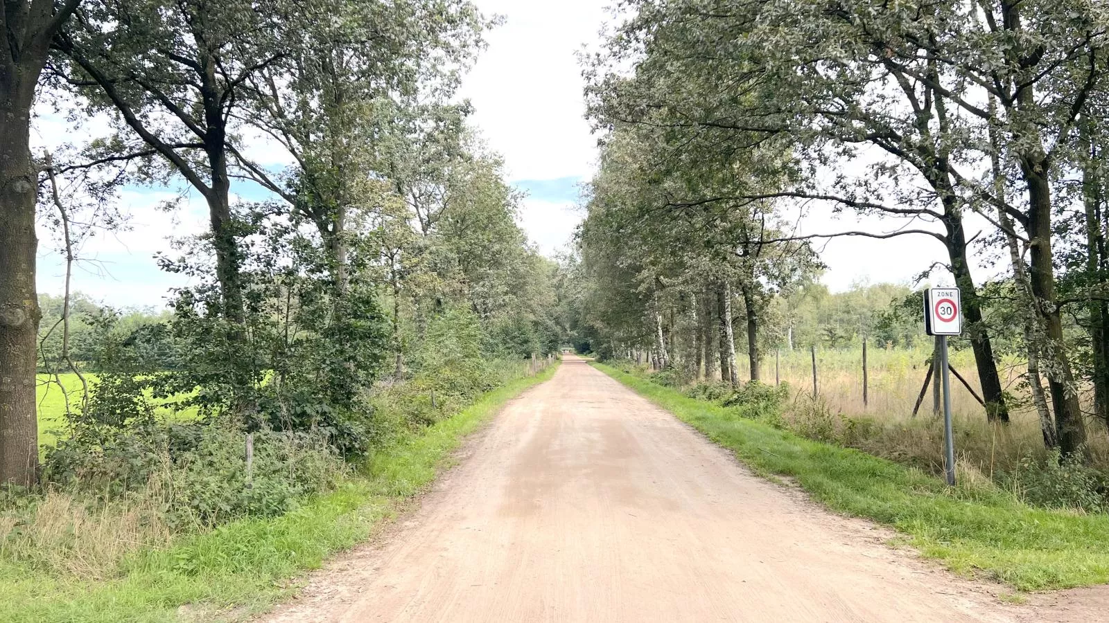 Lindehoeve-Gebieden zomer 1km