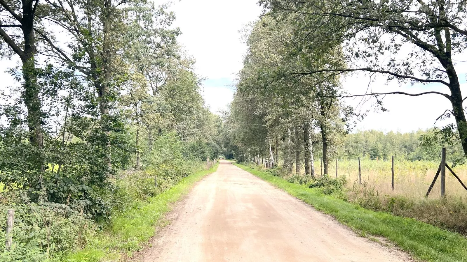 Lindehoeve-Gebieden zomer 1km