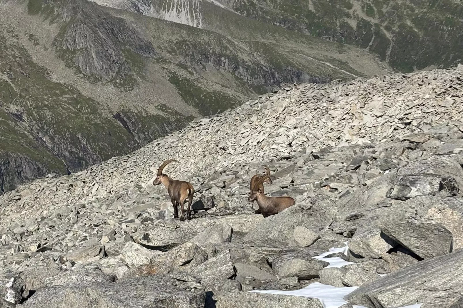 Gernkogelblick - Gebieden zomer 5km