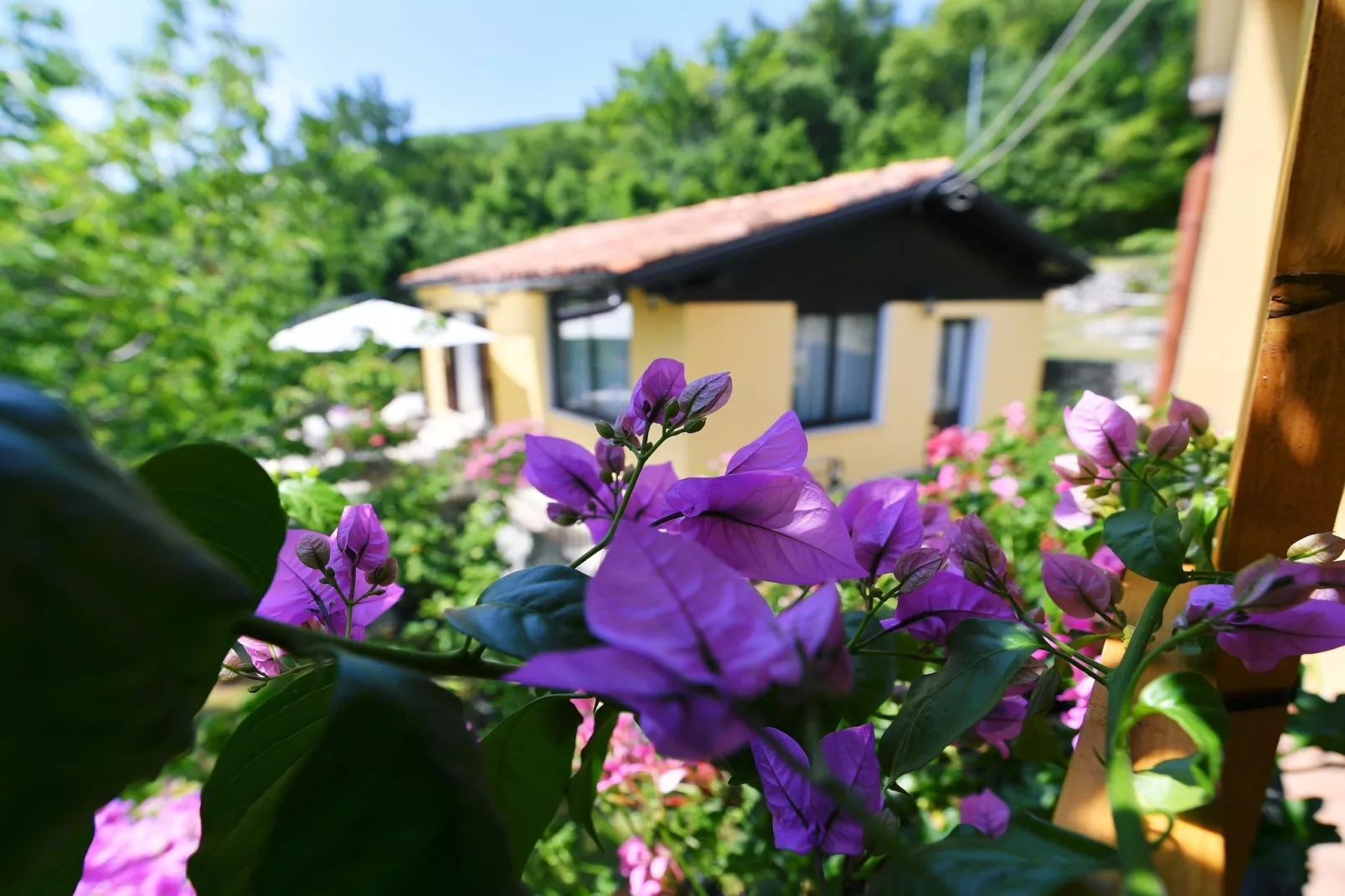 Charming Holiday Home with Terrace and Garden - One Bedroom Holiday Home - Buitenlucht