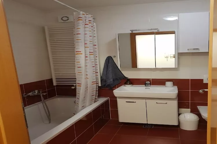 Apartment Aurelia Arena - One Bedroom Apartment - Badkamer