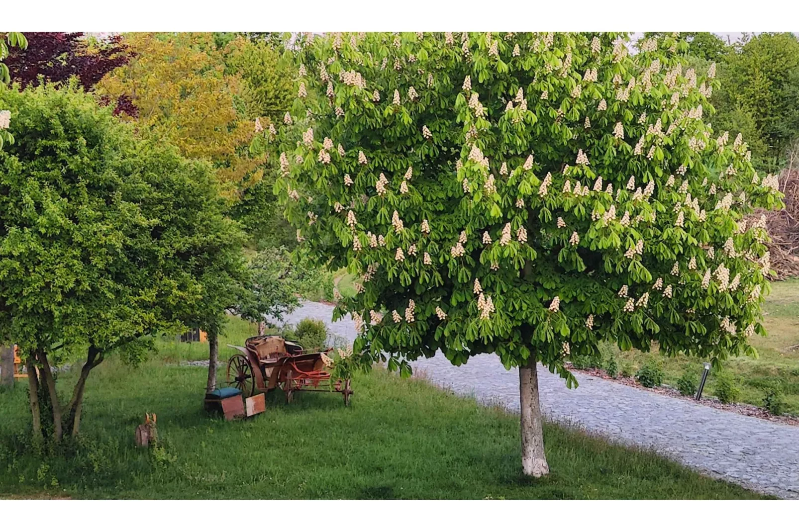 522 1P 40€(6) Schulz - Gebieden zomer 5km