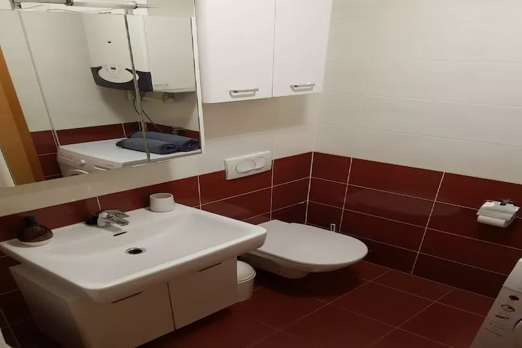 Apartment Aurelia Arena - One Bedroom Apartment - Badkamer
