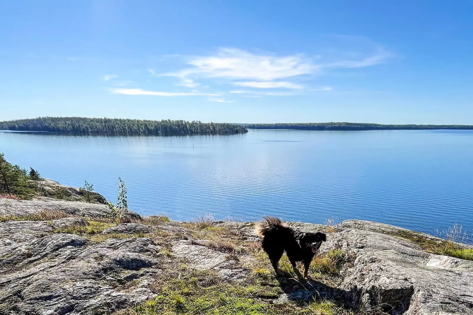 5 Personen vakantie huis in ADELSÖ - Niet-getagd