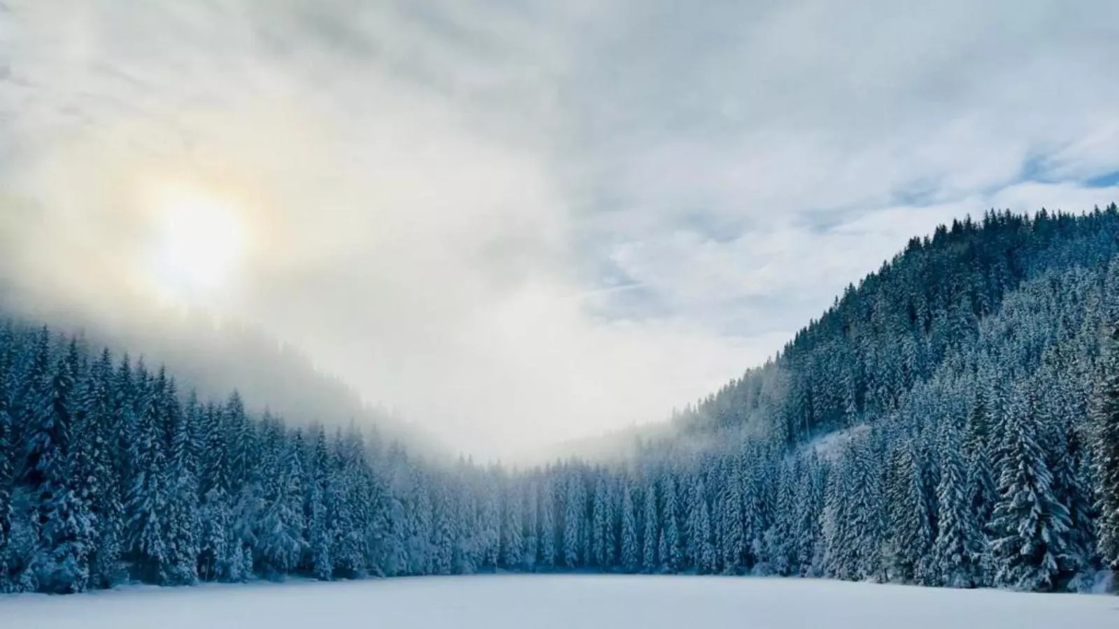 Landhaus Alpenblick Grebenzen - Gebied winter 5km
