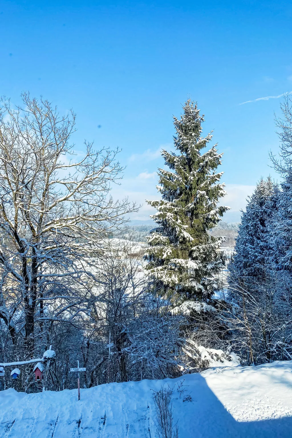 Apartamento Giovanna - Buiten