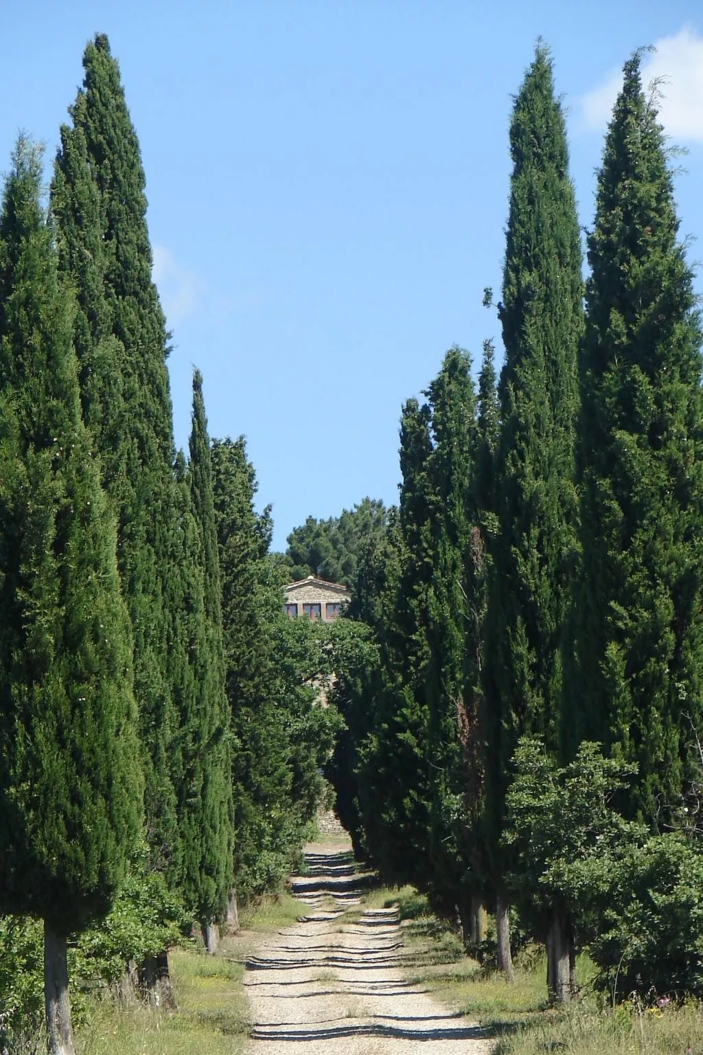Anwesen "La Capanna" mit Blick auf das Wasser - Buiten