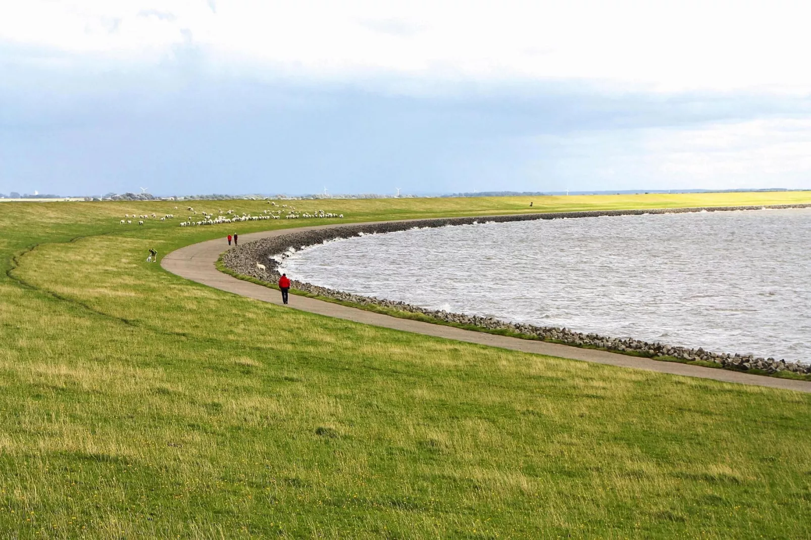 Bungalow Warwerort-Gebieden zomer 5km