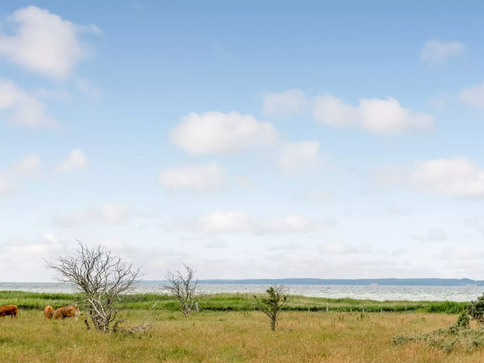 "Bernadete" - 50m to the fjord