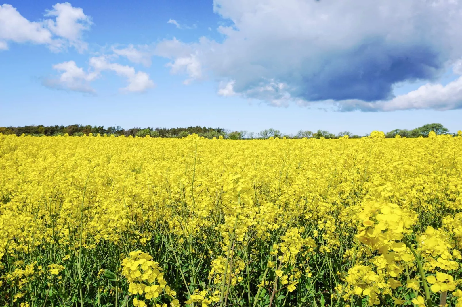 4 Personen vakantie huis in Hemse - Niet-getagd