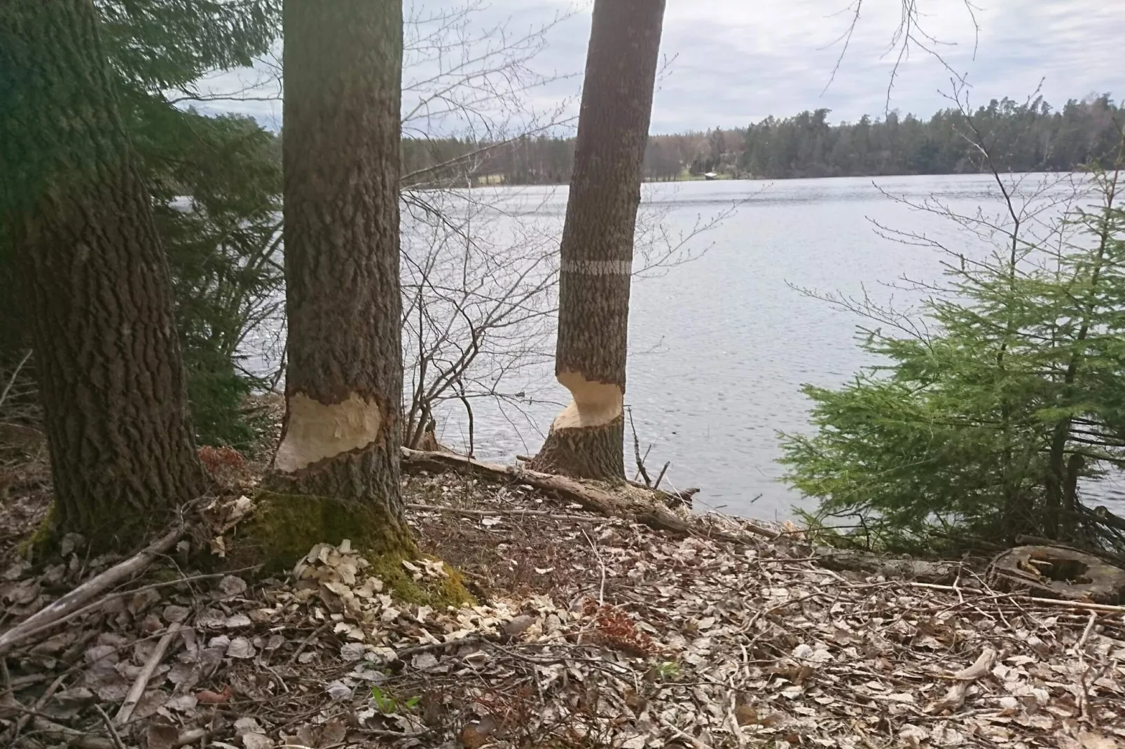 4 sterren vakantie huis in MARIEFRED