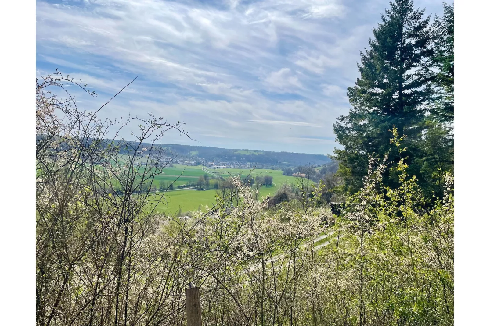 AutarkHome Natur Kompfort Rautenberg - Uitzicht zomer