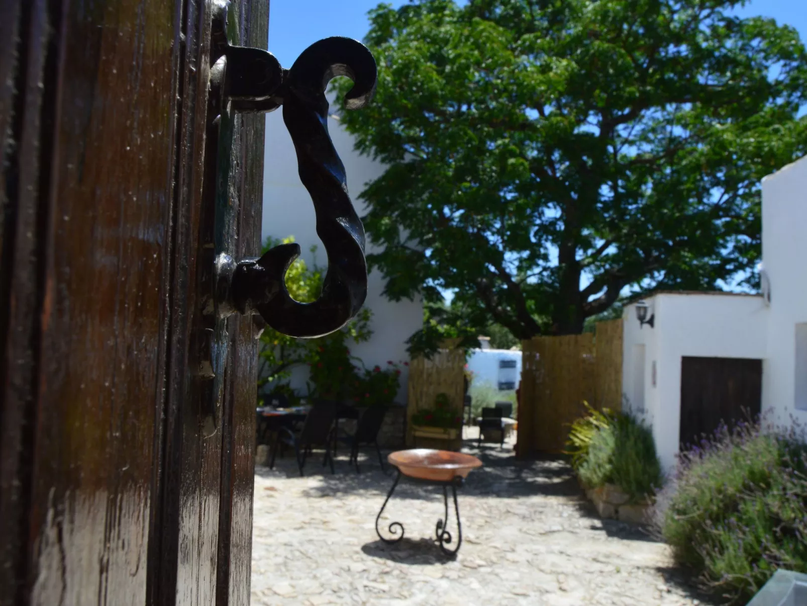 Finca "Casa Vieja" mit Bergblick - Buiten