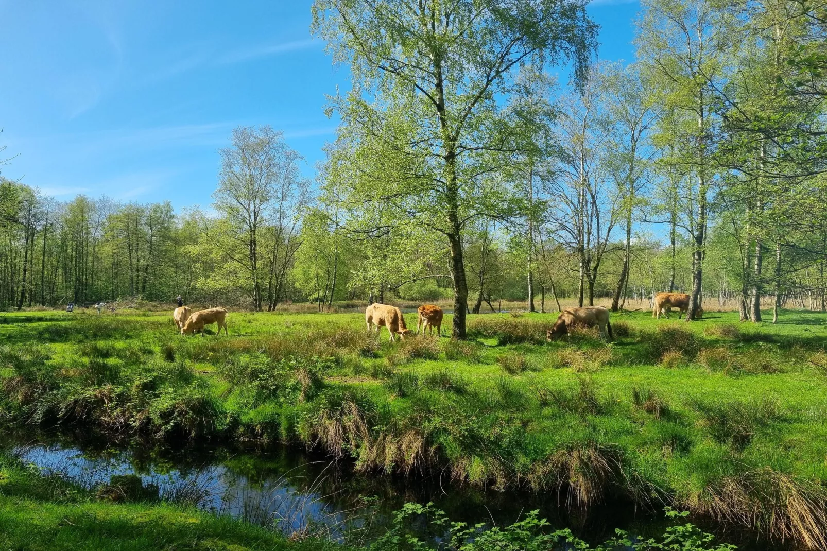 Watervilla Tsien - Gebieden zomer 5km
