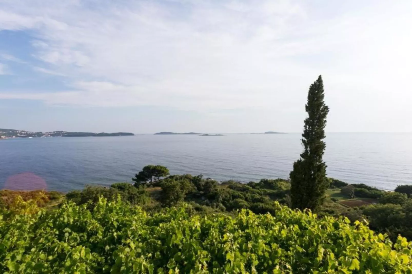 Villa Samba - Standard One-Bedroom Apartment with Balcony and Sea View - Sfeer