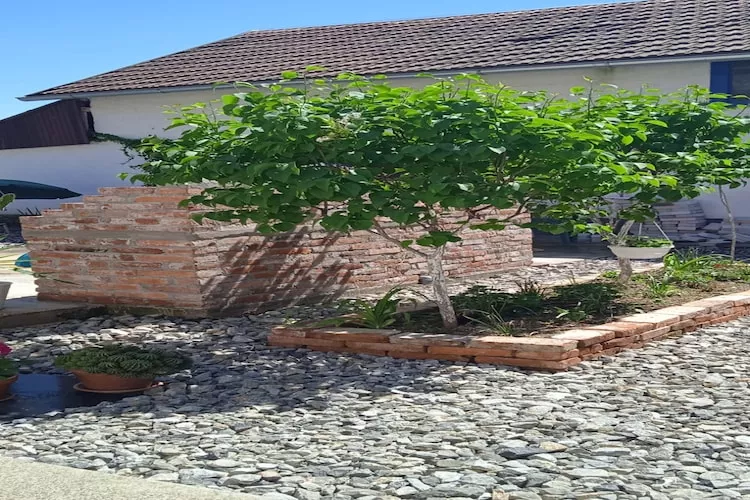 Holiday Home Kim - Three Bedroom Holiday Home with Swimming Pool - Tuinen zomer