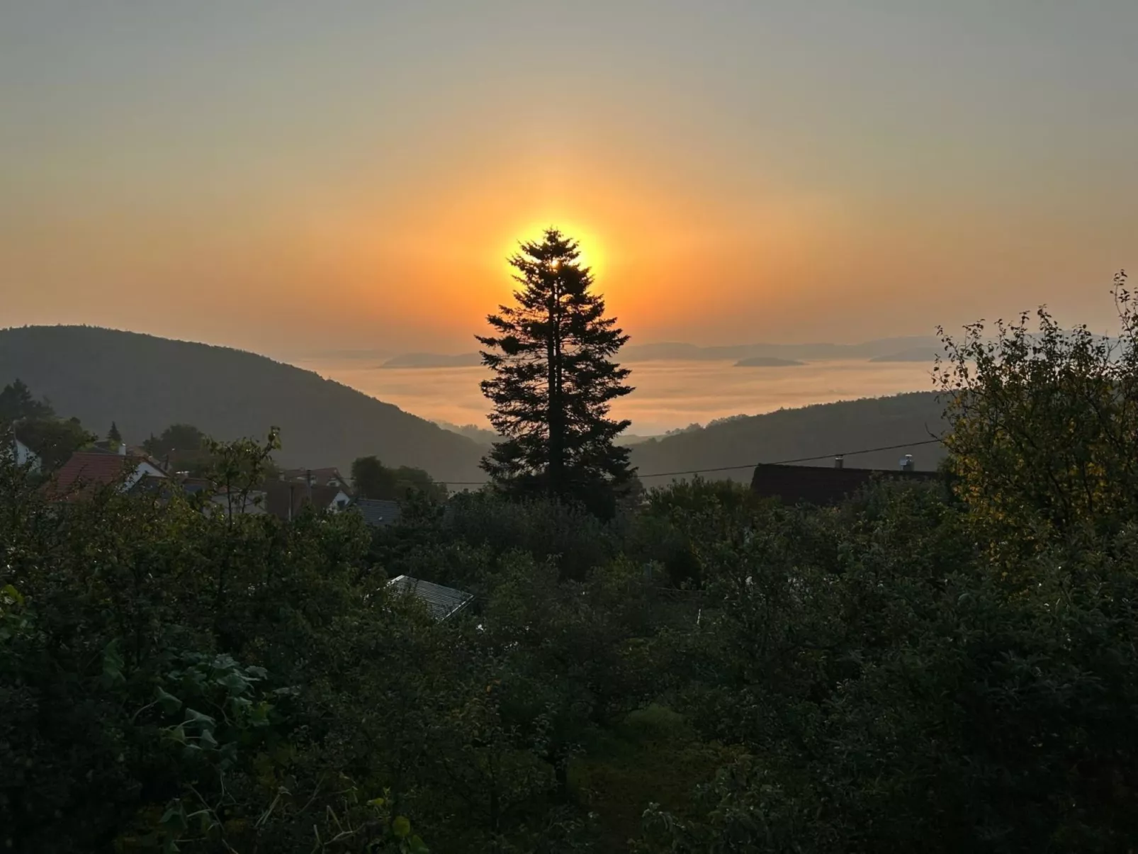 Hillside View - Buiten