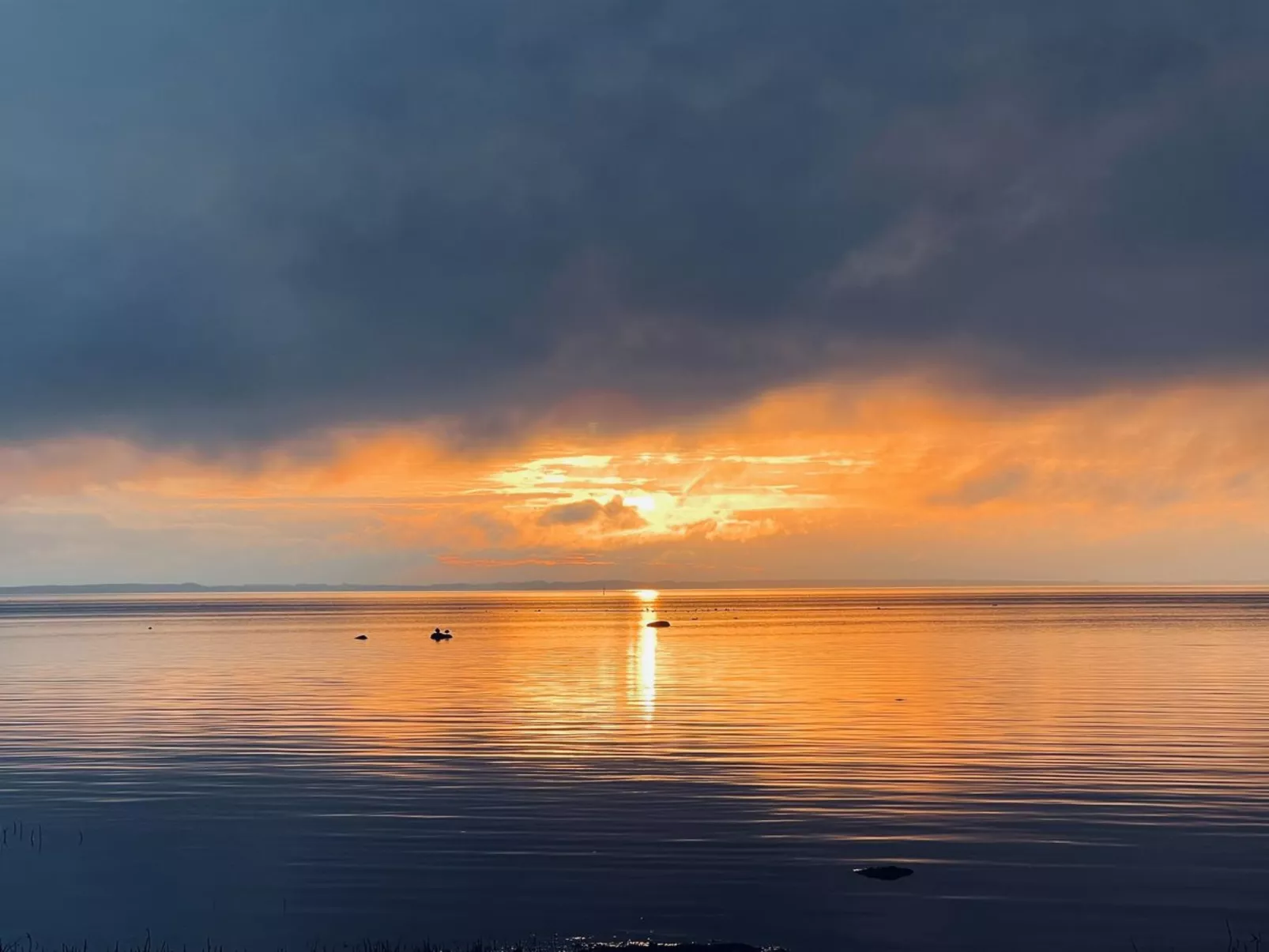 "Bernadete" - 50m to the fjord - Buiten