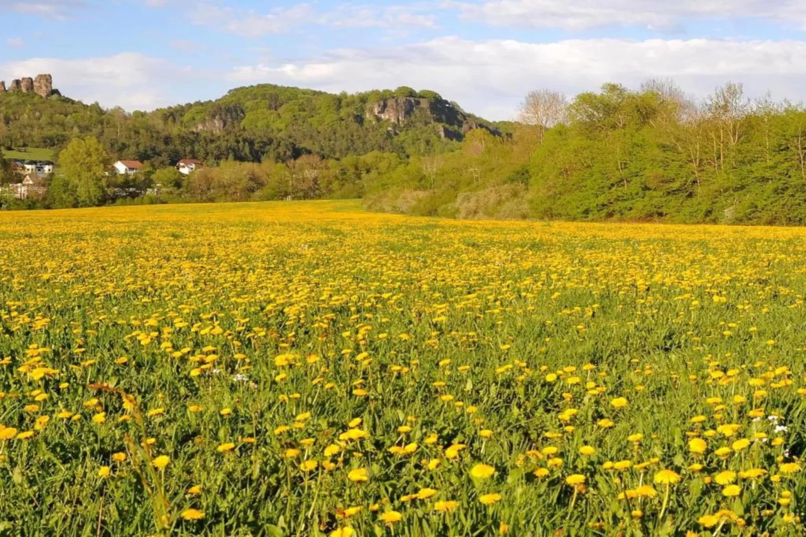 Eifelpark 10 - Gebieden zomer 20km