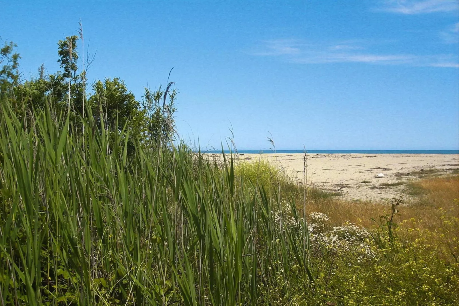 Résidence Marina Corsa in Ghisonaccia  /  Monolocale 2/3 - Buitenkant zomer