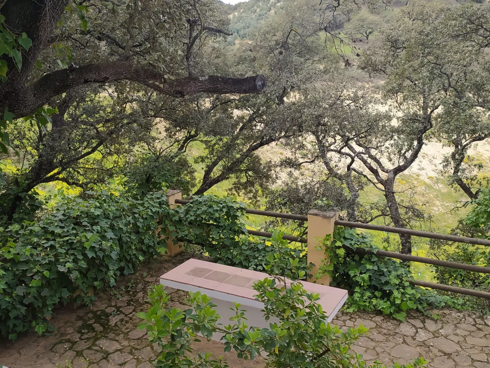 Finca "Casa Vieja" mit Bergblick - Buiten